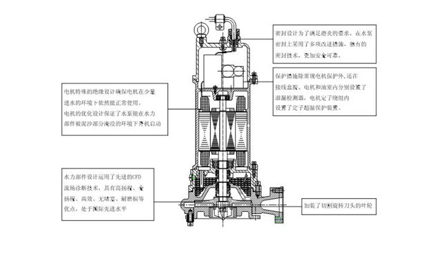 AF型双绞刀潜水排污泵安装图